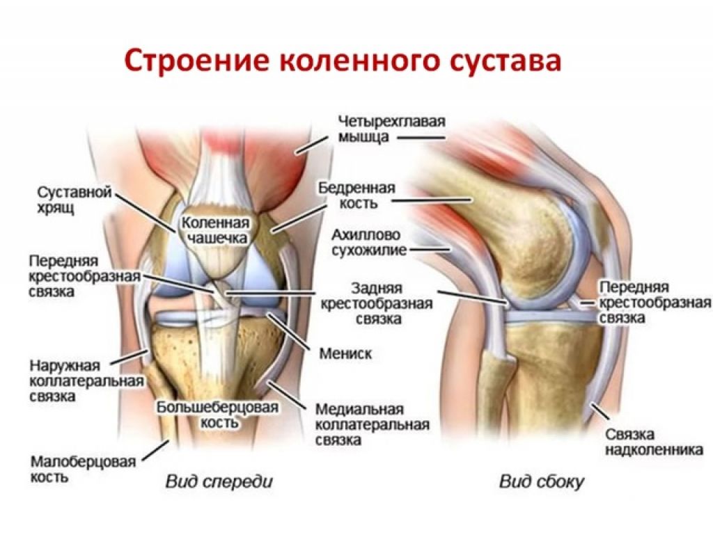 боль при сгибании колена внутри боль при сгибании колена внутри