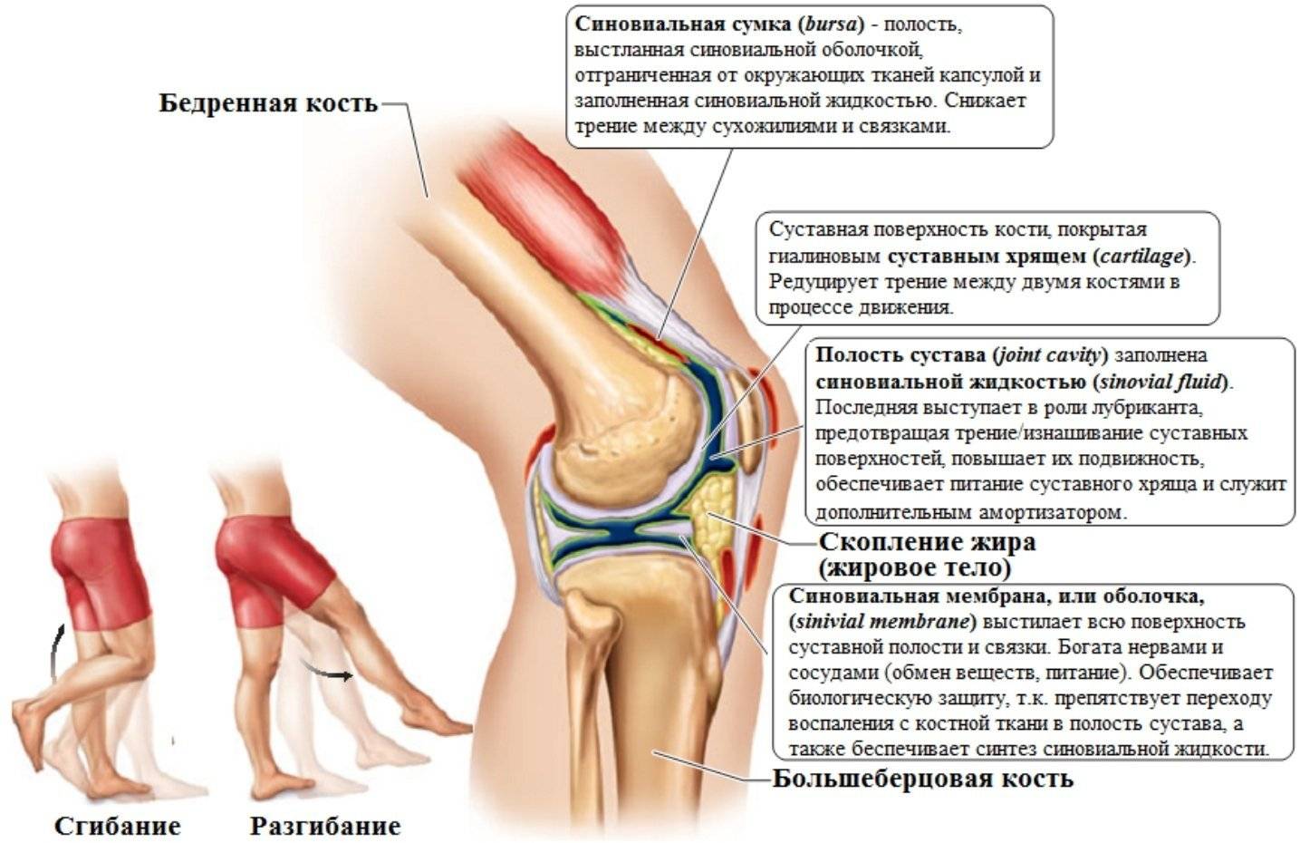 чем лечить колено больно сгибать