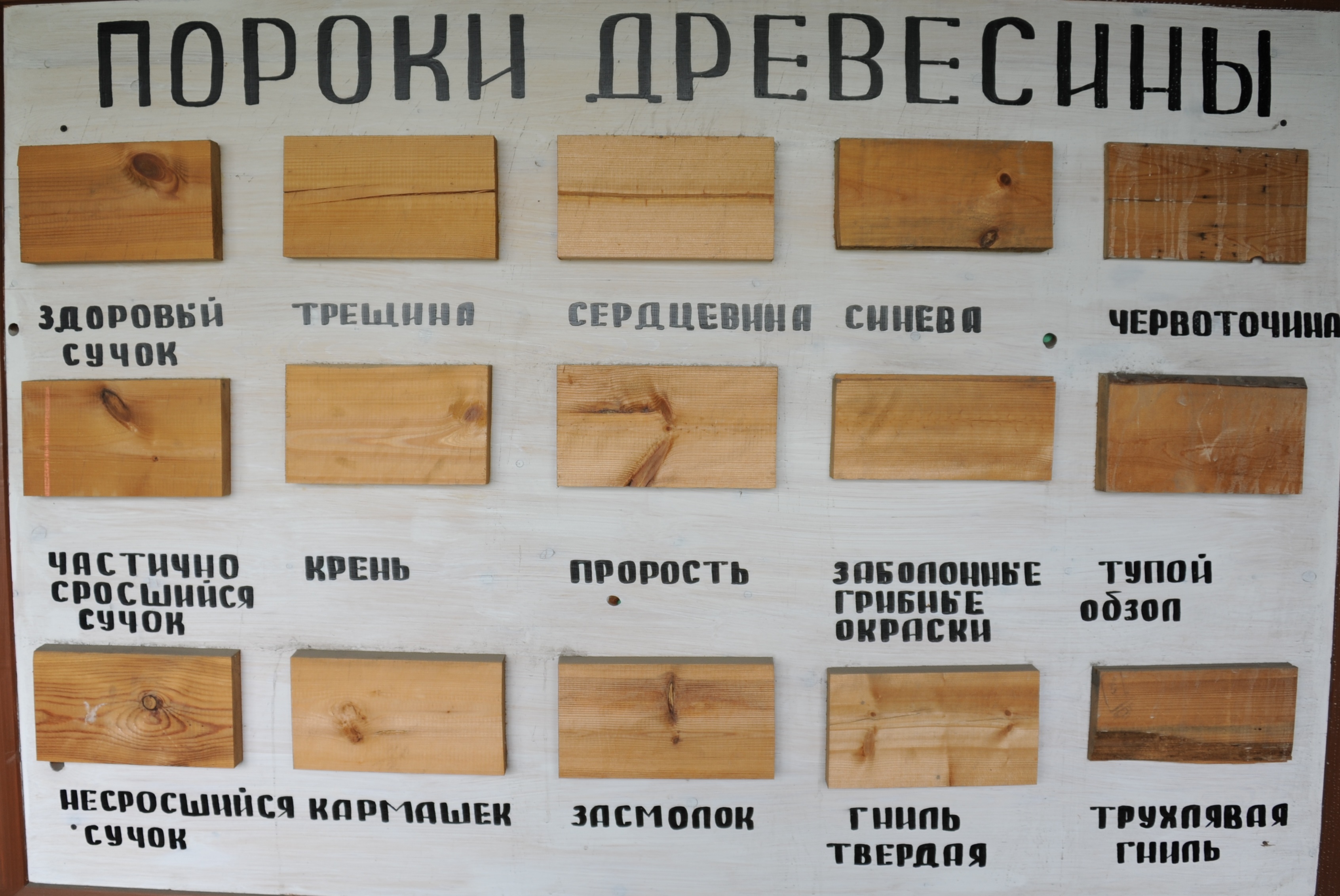 гемосиновит