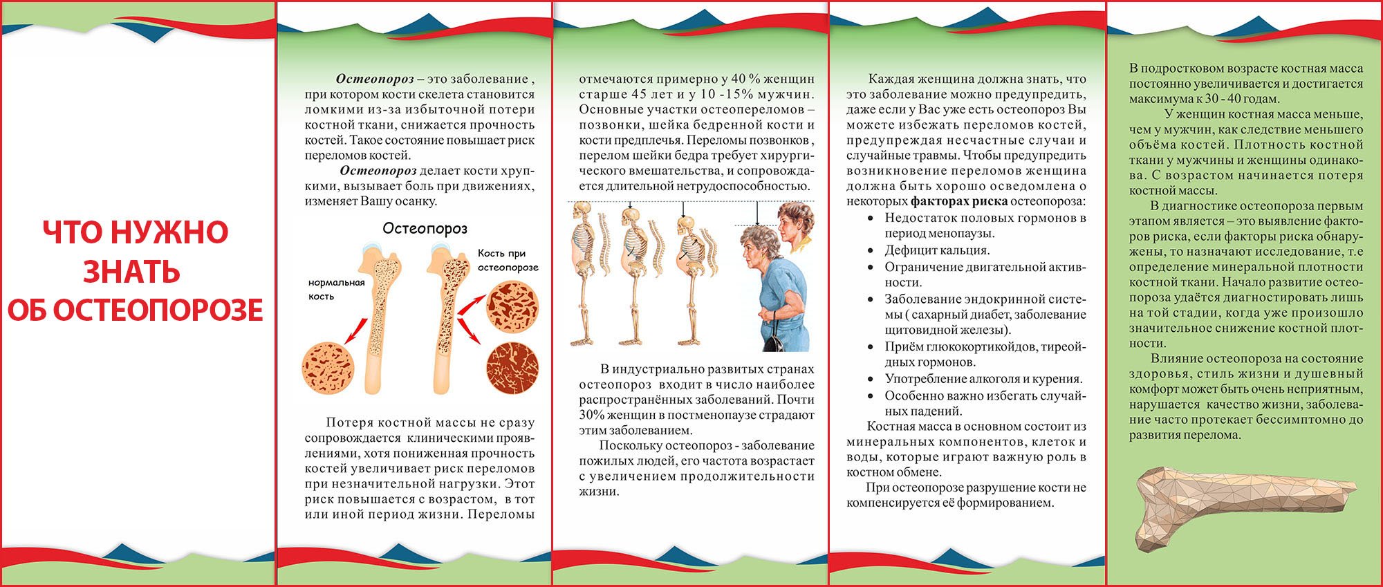 остеопороз симптомы у женщин причины возникновения