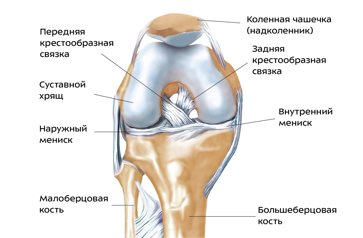 почему больно сгибать колено почему больно сгибать колено