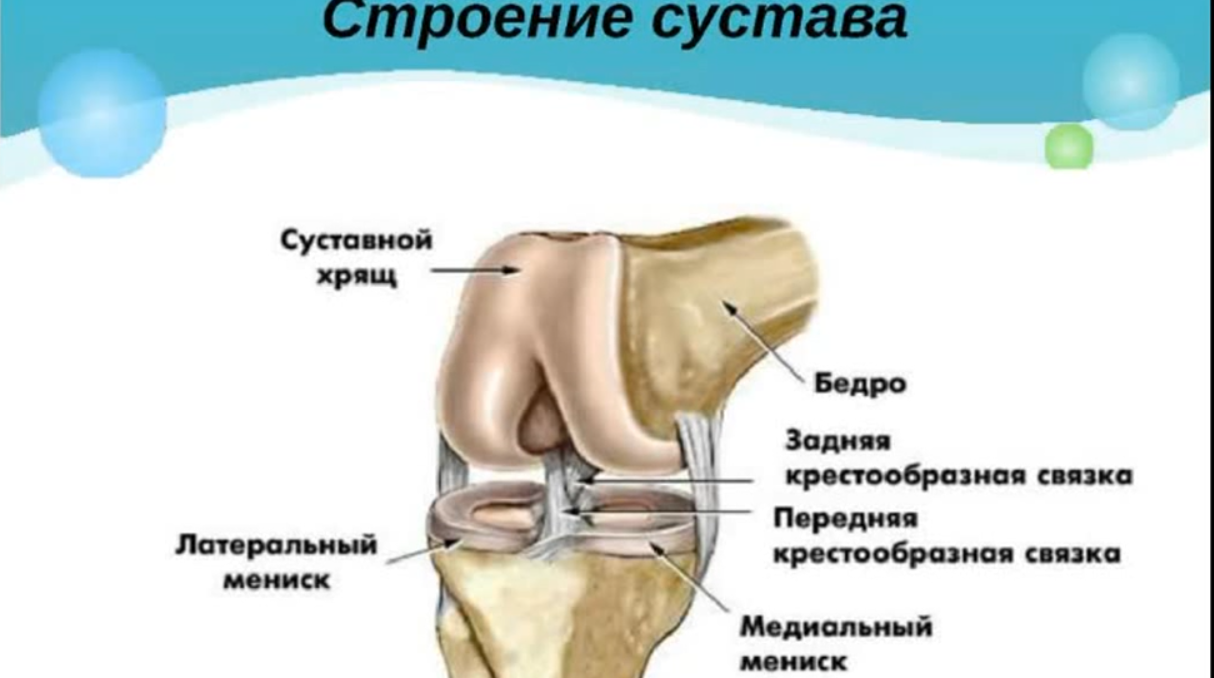 мениск поврежден что делать