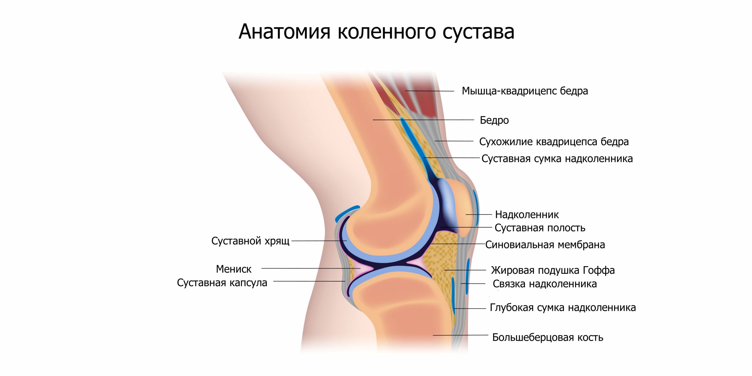 жидкость в колене причины