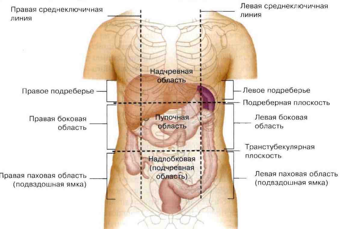 почему тянет в левом боку почему тянет в левом боку